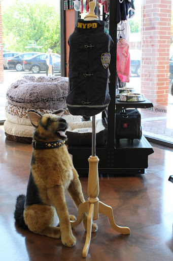 Pet Supply Store «Modern Pet», reviews and photos, 212-77 26th Ave, Bayside, NY 11360, USA