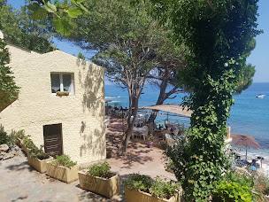 Photo n°48 de A Campinca à Brando ()