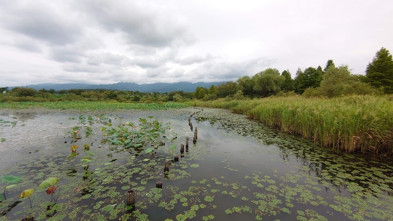 あがの池公園