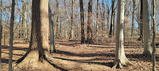 Nature Preserve «Stateline Woods Preserve», reviews and photos, 814 Merrybell Ln, Kennett Square, PA 19348, USA