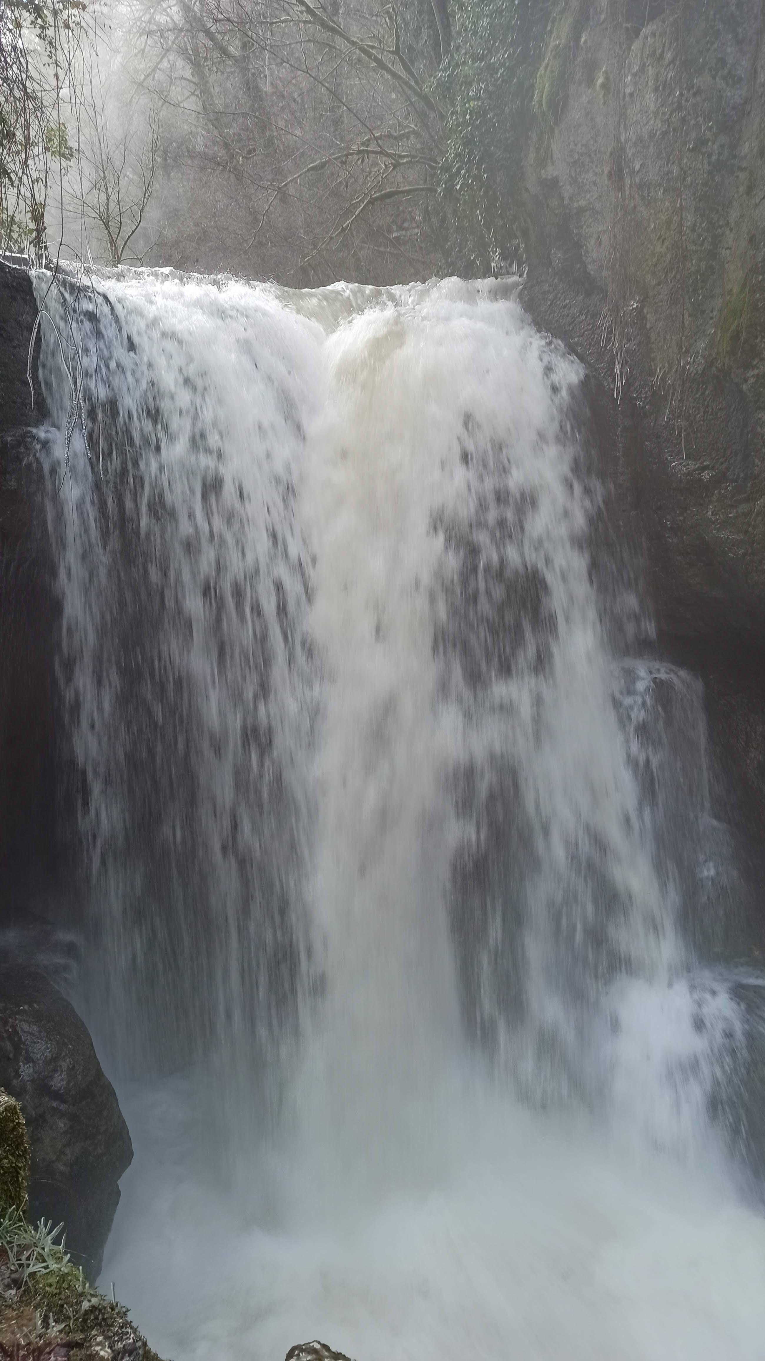 Photo n° 8 de l'avis de Veltas. fait le 30/10/2019 à 11:55