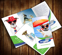 Best Printing USA - Photo 9 - Car repair in Shelton, CT, Bridgeport