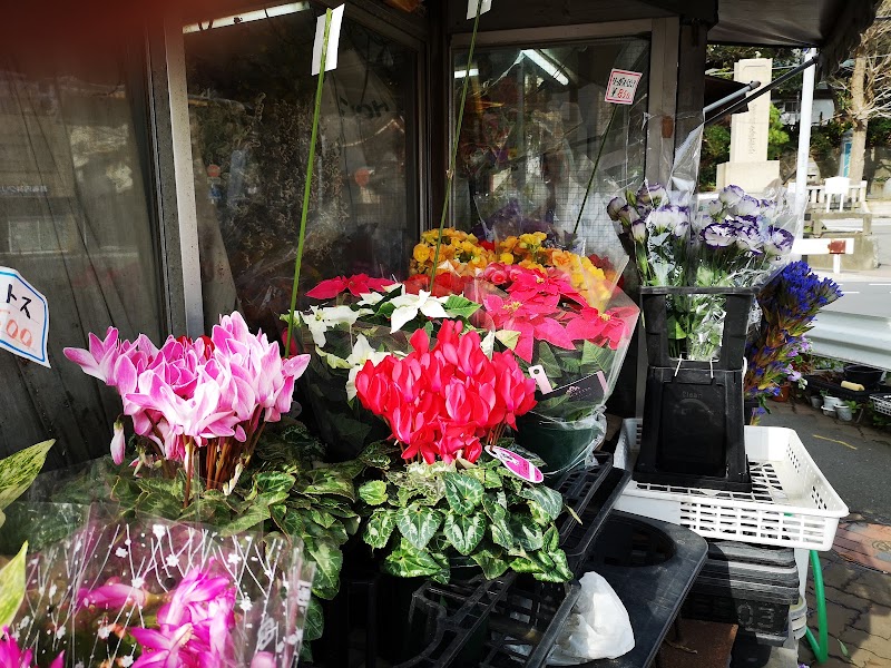 宇加里生花店 神奈川県藤沢市片瀬海岸 花屋 花 グルコミ