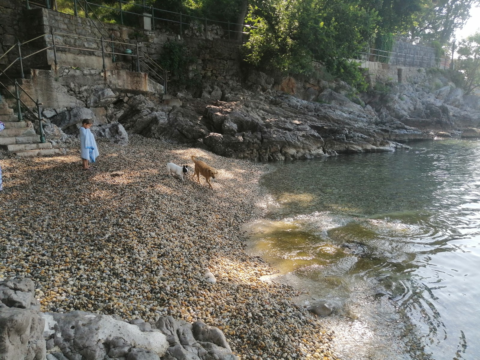 Dog Beach Opatija'in fotoğrafı imkanlar alanı