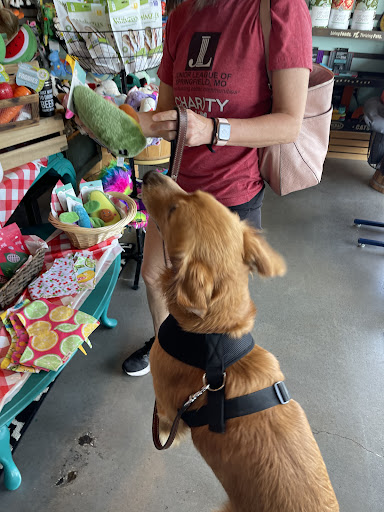 Pet Supply Store «Fetch Pet Supplies & Gifts», reviews and photos, 1332 E Republic Rd, Springfield, MO 65804, USA