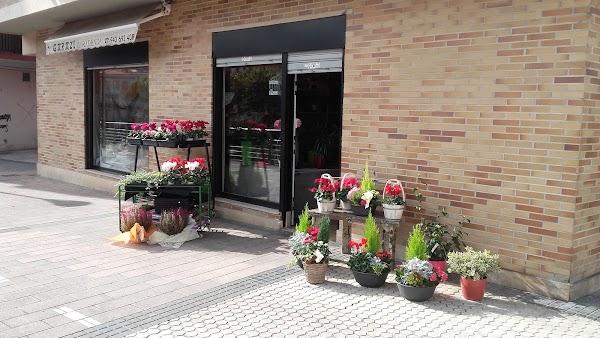 Imagen de Floristeria Garazi (2 de 7)