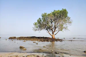 Pantai Oesapa image