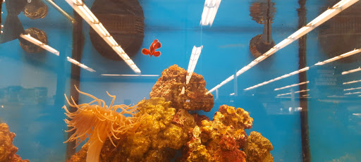 Pet Supply Store «Petco Animal Supplies», reviews and photos, 6181 Old Dobbin Ln #800, Columbia, MD 21045, USA