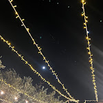 Photo n°4 de l'avis de Claudia.u fait le 02/08/2023 à 07:32 sur le  Scorzonera, Nicolosi à Nicolosi