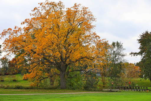 Golf Club «Fellows Creek Golf Course», reviews and photos, 2936 S Lotz Rd, Canton, MI 48188, USA