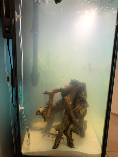 Pet Supply Store «Professional Fish Keepers Aquarium Store», reviews and photos, 7573 W Sample Rd, Coral Springs, FL 33065, USA