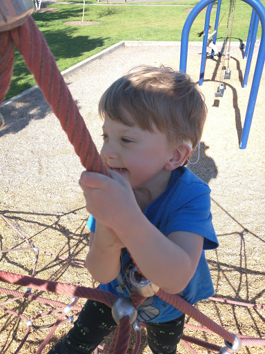 Park «Willamalane Park», reviews and photos, 1276 G St, Springfield, OR 97477, USA