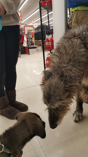 Home Improvement Store «Tractor Supply Co.», reviews and photos, 7047 Mechanicsville Turnpike, Mechanicsville, VA 23111, USA