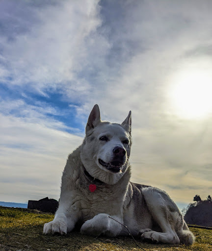 Golf Course «The Home Course», reviews and photos, Golf House Rd, DuPont, WA 98327, USA
