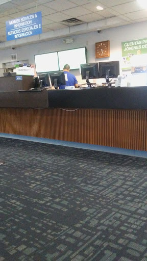 Credit Union «GECU», reviews and photos