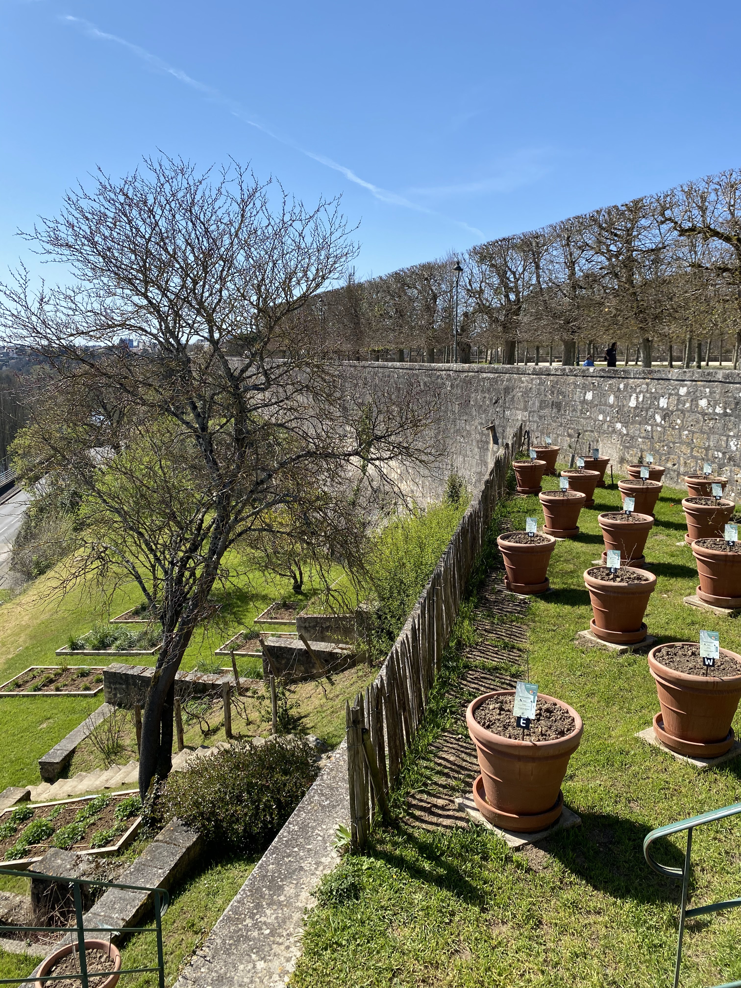 Photo n° 4 de l'avis de Marylène.u fait le 22/03/2022 à 17:15