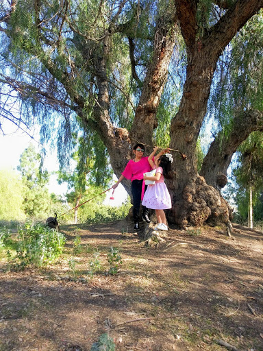 Park «Cerritos Park East», reviews and photos, 13234 E 166th St, Cerritos, CA 90703, USA