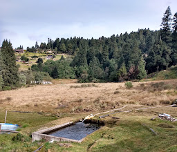Temazcal y Criadero De Truchas Xunte photo