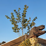 Photo n°5 de l'avis de Moni.� fait le 09/10/2021 à 18:57 sur le  Bohrerhof Feldkirch à Hartheim am Rhein