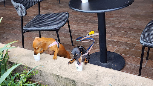 Starbucks image