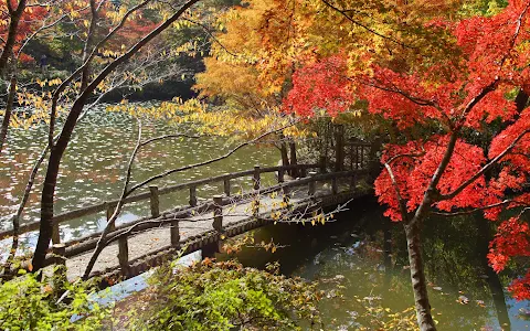 Kobe Municipal Arboretum image