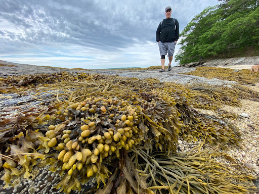 Nature Preserve «Littlejohn Island Preserve», reviews and photos, Pemasong Ln, Yarmouth, ME 04096, USA