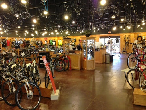 Bicycle repair shop Springfield