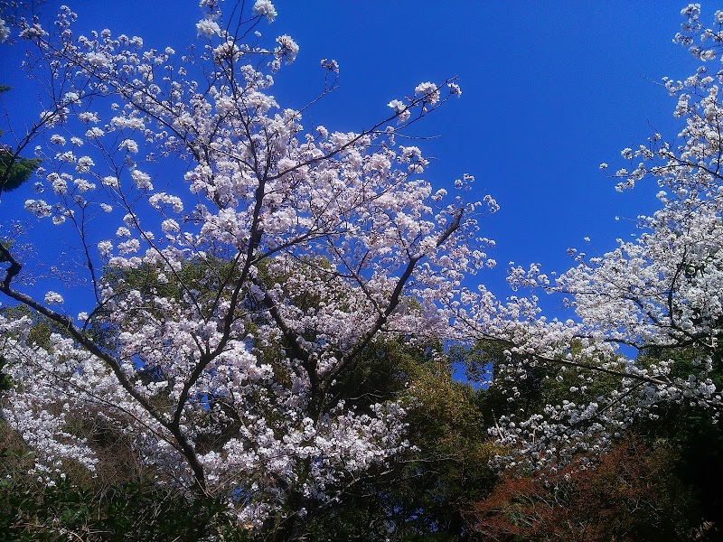 五月山公園緑楓台 大阪府池田市綾羽 公園 グルコミ