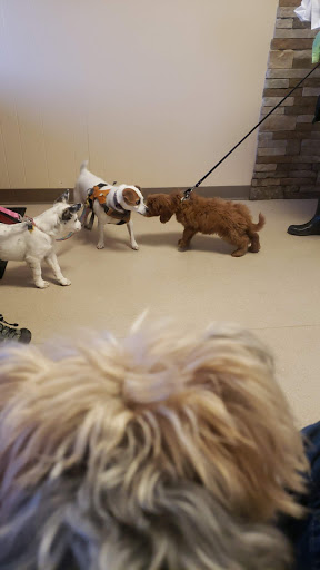 Northarlington Animal Clinic image