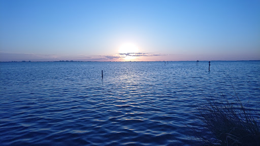 Museum «Powel Crosley Estate», reviews and photos, 8474 N Tamiami Trail, Sarasota, FL 34243, USA