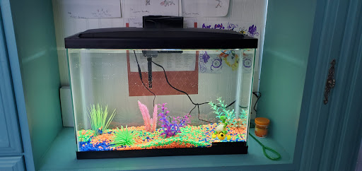 Pet Supply Store «PetSmart», reviews and photos, 20530 E 13 Mile Rd, Roseville, MI 48066, USA