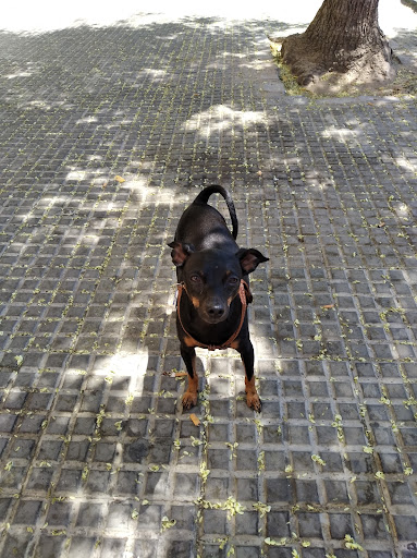 Clínica Veterinaria Beturia en Cartaya