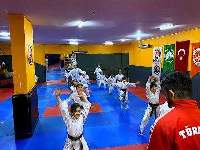 Darıca Çelik Spor Karate Kulübü