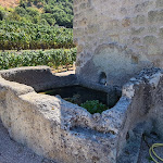 Photo n°13 de l'avis de Giuseppe.o fait le 03/09/2020 à 17:40 sur le  Osteria Da Caliendo à Bacoli