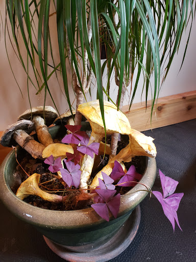 Produce Market «The Woodlands at Phillips», reviews and photos, 1020 Kaolin Rd, Kennett Square, PA 19348, USA