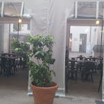 Photo n°3 de l'avis de giambi.e fait le 13/04/2018 à 23:13 sur le  Sud Antica Forneria Siciliana à Palermo