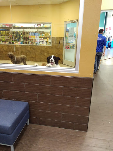 Pet Supply Store «PetSmart», reviews and photos, 7290 W Bell Rd, Glendale, AZ 85308, USA