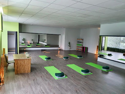 Mandala Yoga Studio - Komárno - Jógastúdió - Komárom