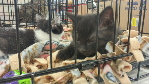 Pet Supply Store «Petco Animal Supplies», reviews and photos, 3731 Gateway Dr, Eau Claire, WI 54701, USA