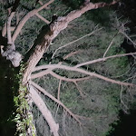 Photo n°2 de l'avis de Laura.a fait le 28/08/2018 à 06:29 sur le  Bellavista Restaurant and Rooms à Jonadi