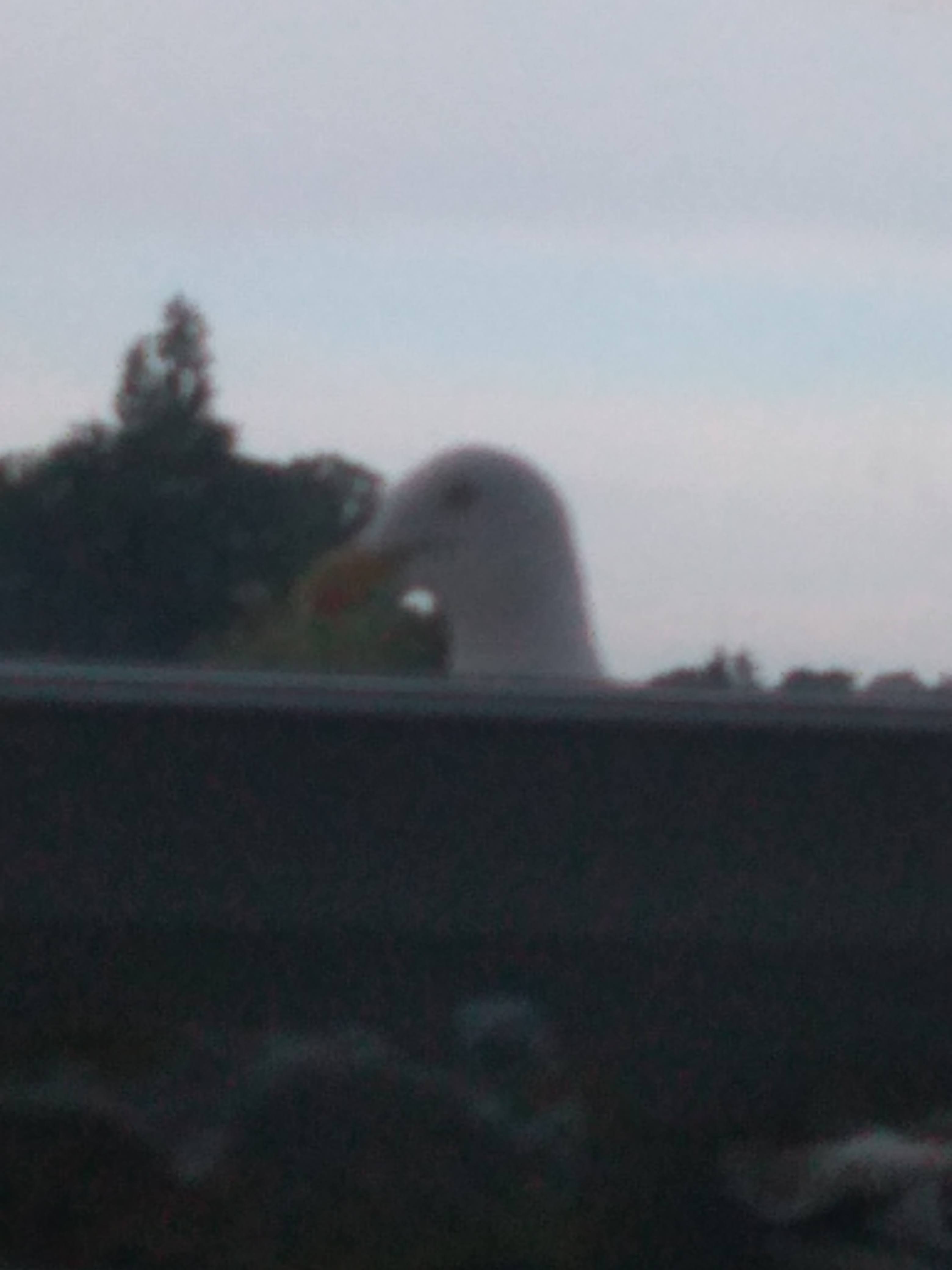 Photo n° 32 de l'avis de Gérard.u fait le 06/11/2020 à 21:03