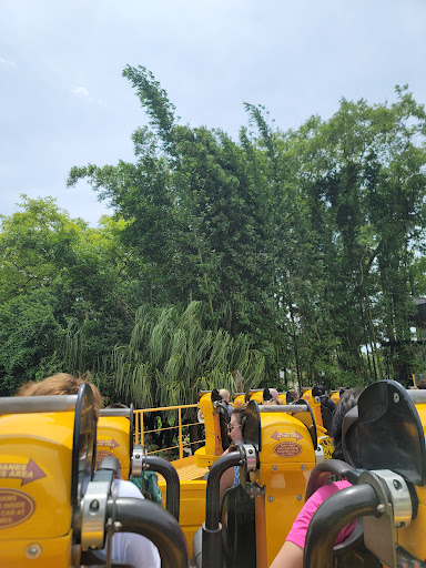 Roller Coaster «Cheetah Hunt», reviews and photos, 10165 N Malcolm McKinley Dr, Tampa, FL 33612, USA