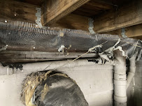 SoCal Certified Pest Control Services - Photo 2 - Car repair in Fullerton, CA, Long Beach