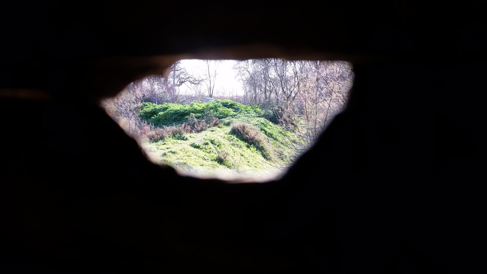 Photo n° 7 de l'avis de J..a fait le 28/02/2019 à 22:24