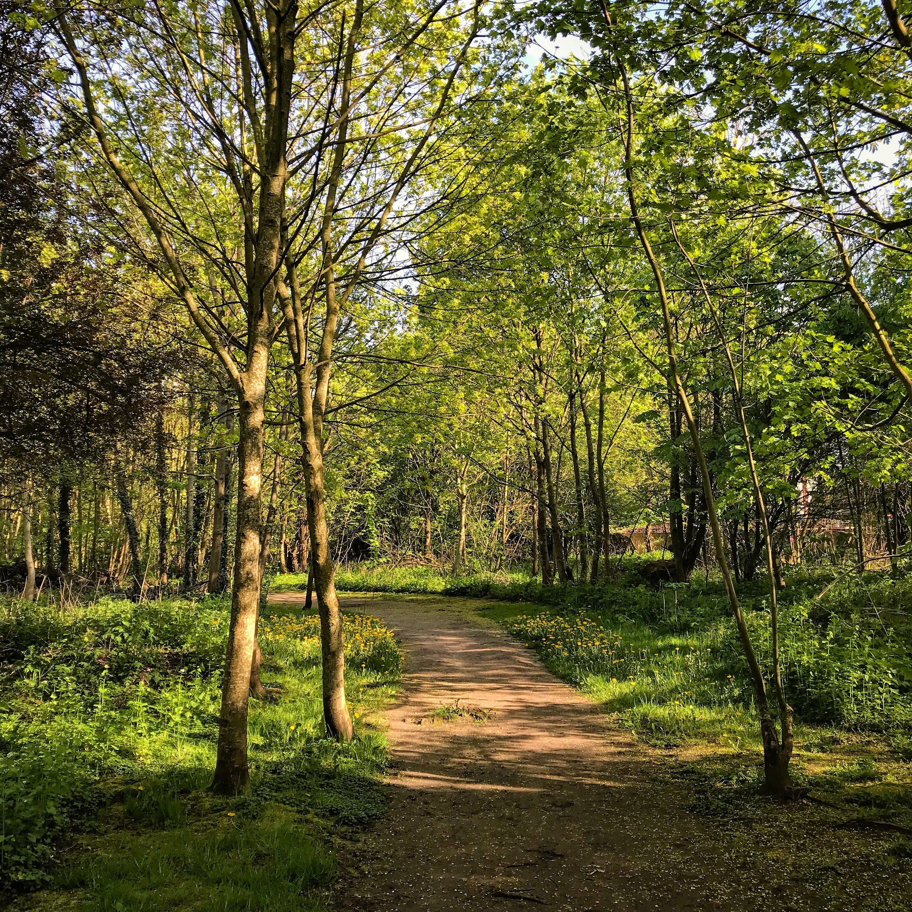 Photo n° 6 de l'avis de Franck.a fait le 02/05/2018 à 05:52