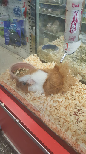 Pet Store «Clearwater Aquarium & Pet Supply», reviews and photos, 2206 Washington St, Jamestown, NY 14701, USA