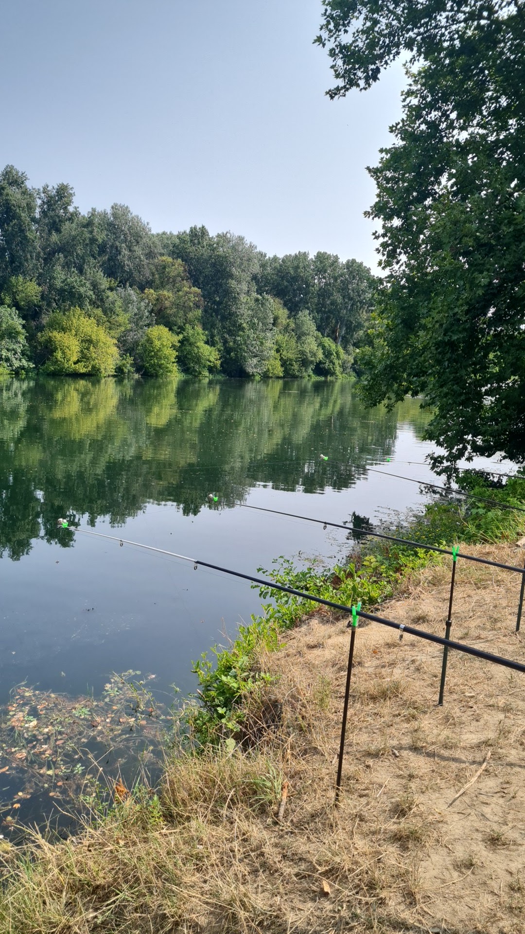 Photo n° 1 de l'avis de Nistor.a fait le 22/07/2023 à 09:14