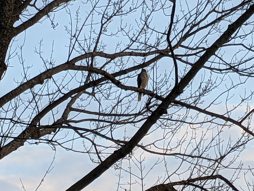 Nature Preserve «Rock Run Preserve - Paul V. Nichols Access», reviews and photos, Essington Rd, Joliet, IL 60435, USA