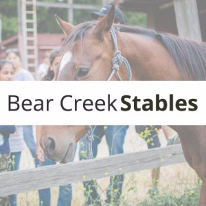 Bear Creek Stables