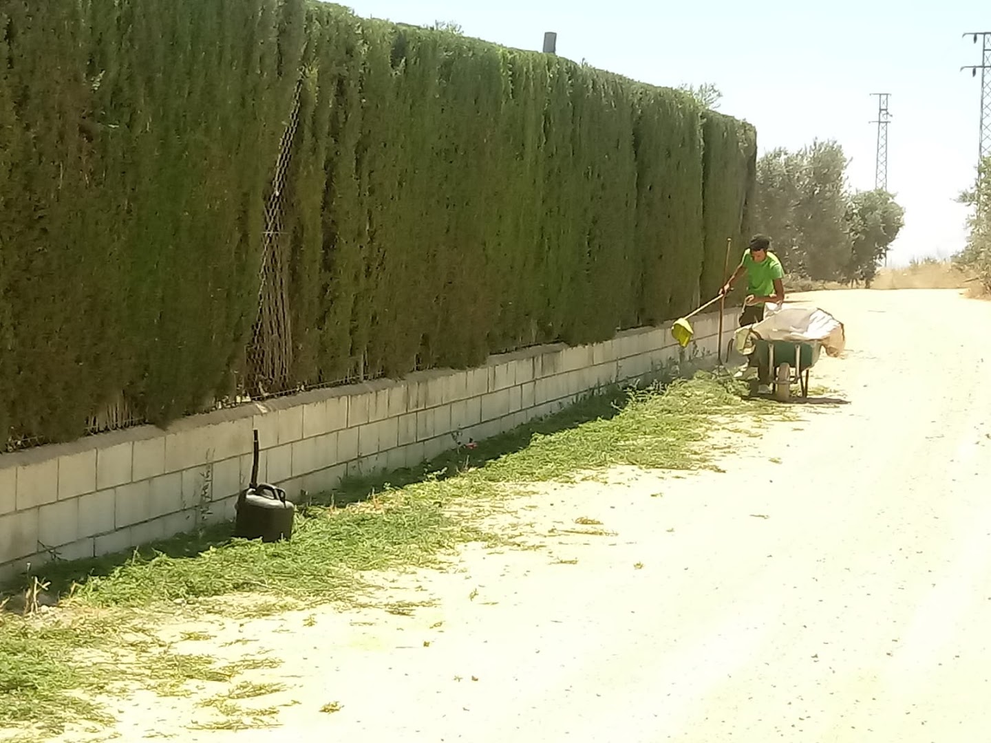 Empresa de jardinería en Sevilla ?? Podas y mantenimiento de Jardines